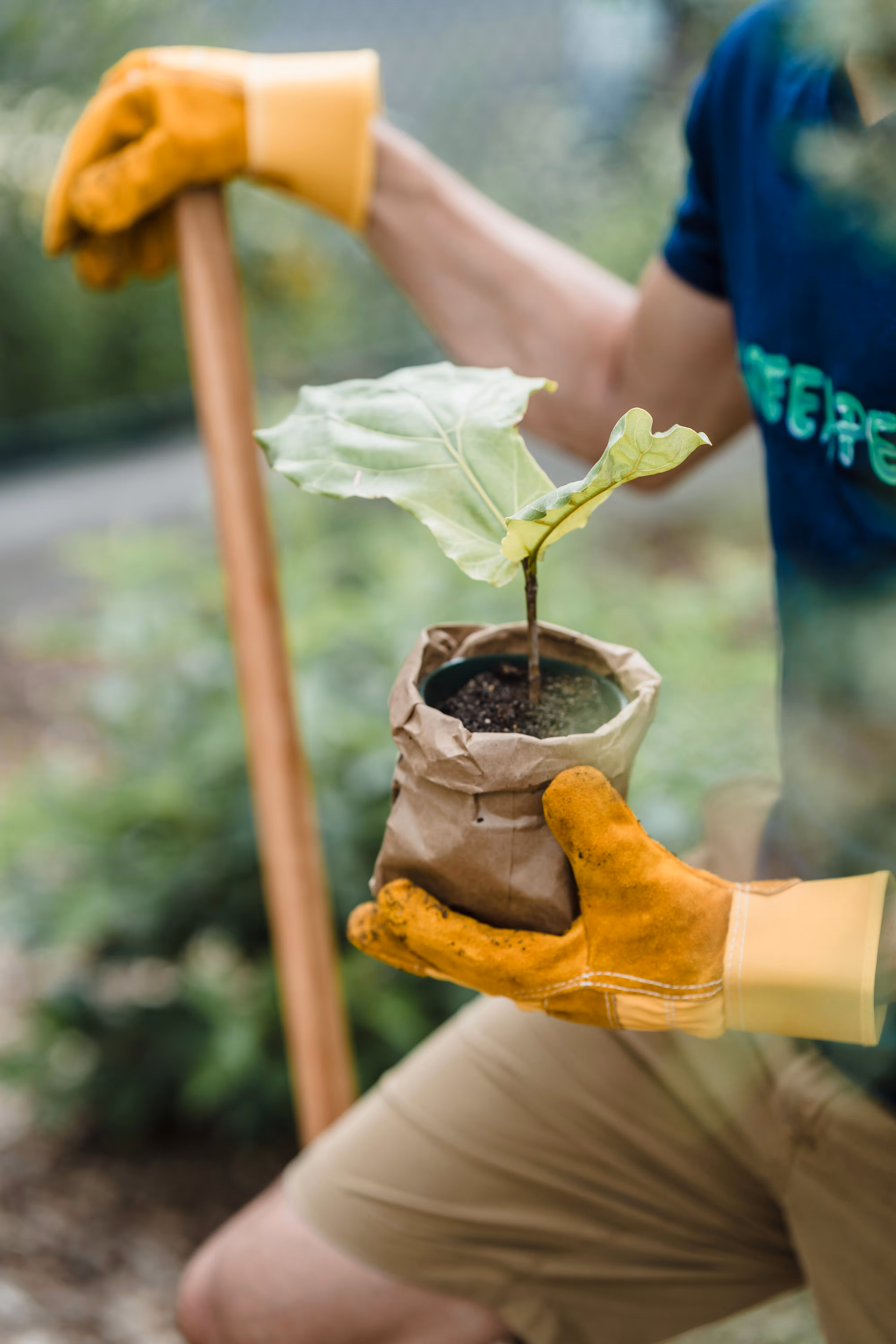 Strumenti da giardinaggio appoggiati su un banco di lavoro
